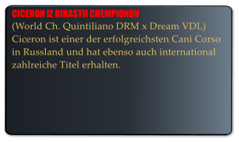 CICERON IZ DINASTII CHEMPIONOV (World Ch. Quintiliano DRM x Dream VDL) Ciceron ist einer der erfolgreichsten Cani Corso in Russland und hat ebenso auch international zahlreiche Titel erhalten.