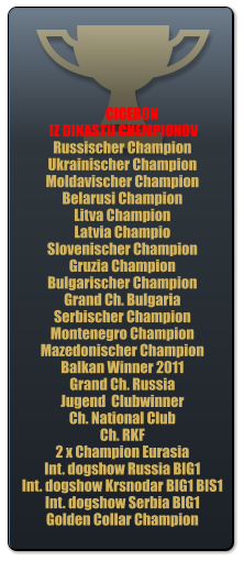 CICERON  IZ DINASTII CHEMPIONOV  Russischer Champion Ukrainischer Champion Moldavischer Champion Belarusi Champion Litva Champion Latvia Champio Slovenischer Champion Gruzia Champion Bulgarischer Champion Grand Ch. Bulgaria Serbischer Champion Montenegro Champion Mazedonischer Champion Balkan Winner 2011 Grand Ch. Russia Jugend  Clubwinner Ch. National Club Ch. RKF 2 x Champion Eurasia Int. dogshow Russia BIG1 Int. dogshow Krsnodar BIG1 BIS1 Int. dogshow Serbia BIG1 Golden Collar Champion