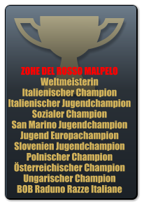 ZOHE DEL ROSSO MALPELO Weltmeisterin Italienischer Champion Italienischer Jugendchampion Sozialer Champion San Marino Jugendchampion Jugend Europachampion Slovenien Jugendchampion Polnischer Champion sterreichischer Champion Ungarischer Champion BOB Raduno Razze Italiane