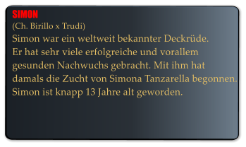 SIMON (Ch. Birillo x Trudi) Simon war ein weltweit bekannter Deckrde.  Er hat sehr viele erfolgreiche und vorallem  gesunden Nachwuchs gebracht. Mit ihm hat  damals die Zucht von Simona Tanzarella begonnen.  Simon ist knapp 13 Jahre alt geworden.
