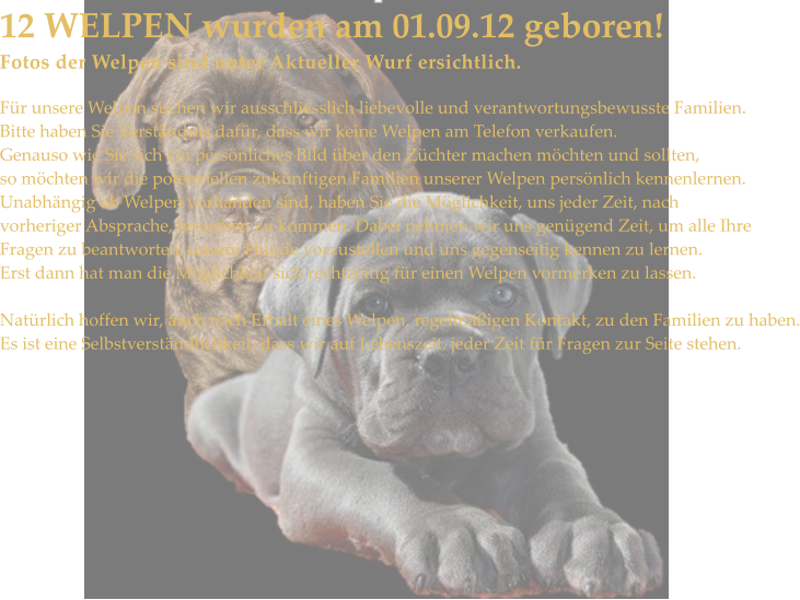 12 WELPEN wurden am 01.09.12 geboren! Fotos der Welpen sind unter Aktueller Wurf ersichtlich.   Fr unsere Welpen suchen wir ausschliesslich liebevolle und verantwortungsbewusste Familien. Bitte haben Sie Verstndnis dafr, dass wir keine Welpen am Telefon verkaufen. Genauso wie Sie sich ein persnliches Bild ber den Zchter machen mchten und sollten, so mchten wir die potenziellen zuknftigen Familien unserer Welpen persnlich kennenlernen. Unabhngig ob Welpen vorhanden sind, haben Sie die Mglichkeit, uns jeder Zeit, nach  vorheriger Absprache, besuchen zu kommen. Dabei nehmen wir uns gengend Zeit, um alle Ihre Fragen zu beantworten, unsere Hunde vorzustellen und uns gegenseitig kennen zu lernen. Erst dann hat man die Mglichkeit sich rechtzeitig fr einen Welpen vormerken zu lassen.  Natrlich hoffen wir, auch nach Erhalt eines Welpen, regelmigen Kontakt, zu den Familien zu haben. Es ist eine Selbstverstndlichkeit, dass wir auf Lebenszeit, jeder Zeit fr Fragen zur Seite stehen.